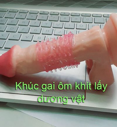 Khúc Đôn Gai Giúp Tăng Cảm Giác Yêu TDSTDC10H