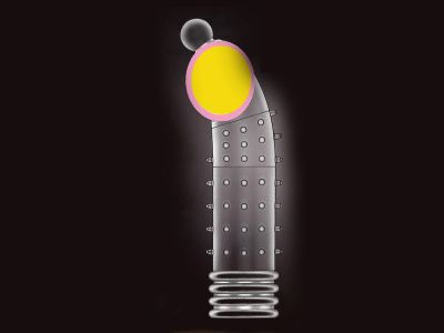 Bao Đôn Gai Bi Rung Đầu Cực Phê TDSTBD44