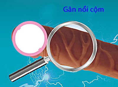Bao Đôn 5 Phần Siêu Gân Mềm Mịn Như Thật Nhập Khẩu Usa TDSTBD16