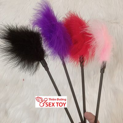 Chổi Lông Vũ Cán Dài Khơi Dậy Đam Mê TDSTBZ16A 1