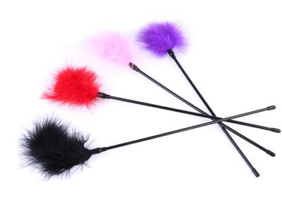 Chổi Lông Vũ Cán Dài Khơi Dậy Đam Mê TDSTBZ16A 3