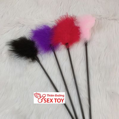 Chổi Lông Vũ Cán Dài Khơi Dậy Đam Mê TDSTBZ16A 2