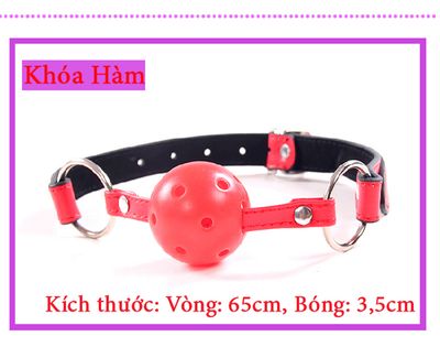 Bộ Đồ Chơi BDSM 10 Món Slave TDSTQT09C 4
