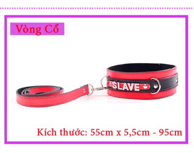 Bộ Đồ Chơi BDSM 10 Món Slave TDSTQT09C 3