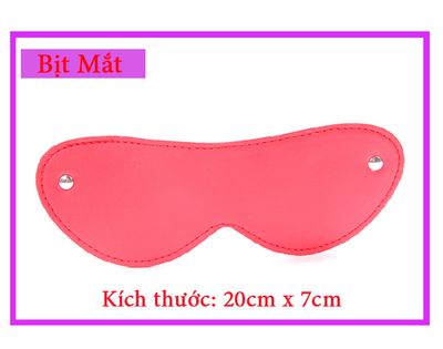 Bộ Đồ Chơi BDSM 10 Món Slave TDSTQT09C 5