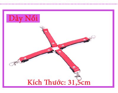 Bộ Đồ Chơi BDSM 10 Món Slave TDSTQT09C 6
