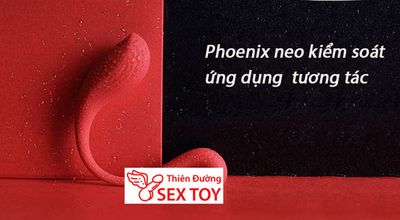 Bộ Quà Tặng BDSM Cao Cấp Svakom Limited Gift Set TDSTQT16 4