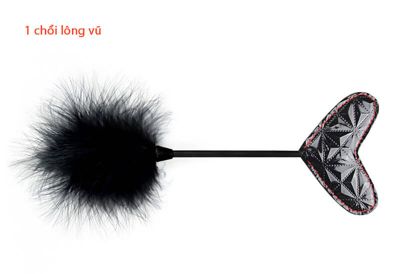 Bộ Đồ Chơi BDSM 10 Món Quyến Rũ TDSTQT09d 8